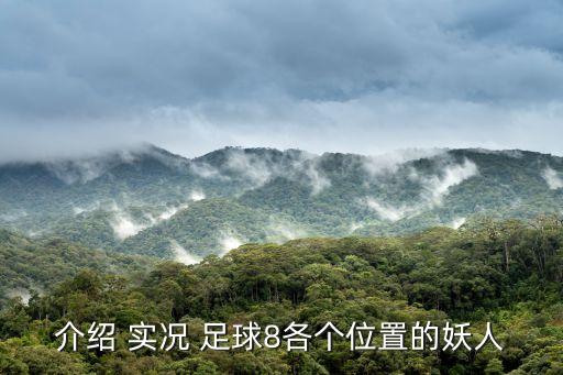 實況足球8范登博雷在哪個球隊,中前場三位大神c羅c羅