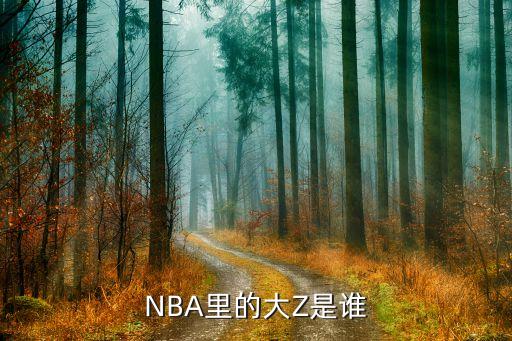 NBA里的大Z是誰