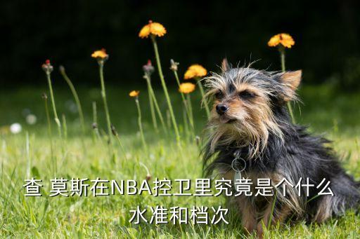 查 莫斯在NBA控衛(wèi)里究竟是個什么水準(zhǔn)和檔次