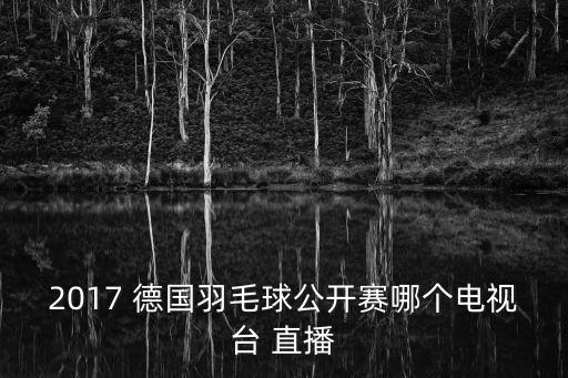 2017 德國羽毛球公開賽哪個電視臺 直播