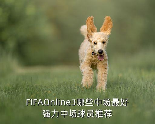 FIFAOnline3哪些中場最好強力中場球員推薦