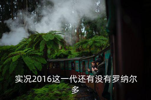 實(shí)況2016哈維在哪個(gè)隊(duì),實(shí)況足球聯(lián)賽轉(zhuǎn)生球員查詢方法