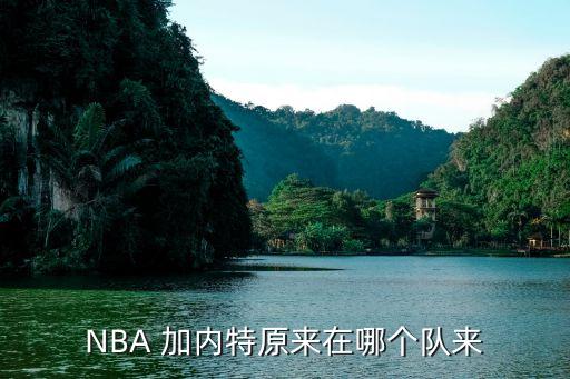 加內(nèi)特現(xiàn)在在哪個球隊,nba球星加內(nèi)特與球迷說再見