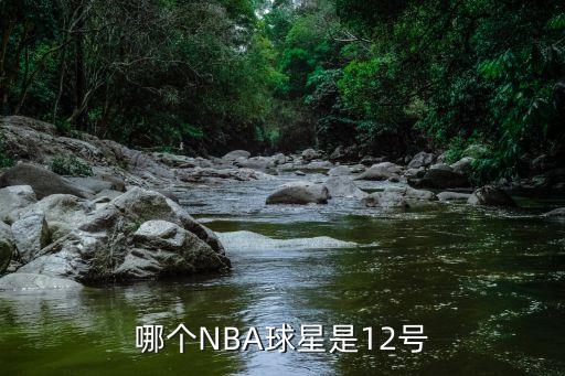 哪個(gè)NBA球星是12號(hào)