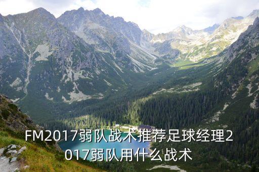 FM2017弱隊(duì)?wèi)?zhàn)術(shù)推薦足球經(jīng)理2017弱隊(duì)用什么戰(zhàn)術(shù)