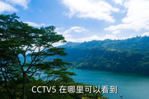 CCTV5 在哪里可以看到