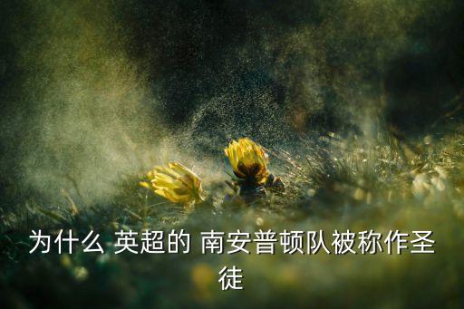 南安普頓英超哪個(gè)球隊(duì),南安普頓擊敗熱刺首席球手打進(jìn)制勝一球