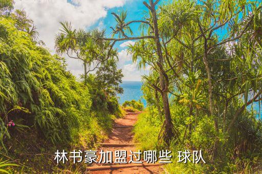 哪個球隊要林書豪,林書豪成為首位進入nba的美籍華裔球員