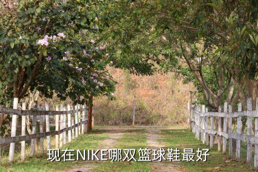 nike超頂頂級(jí)哪個(gè),耐克鞋系列回收再利用剩余空間再生產(chǎn)