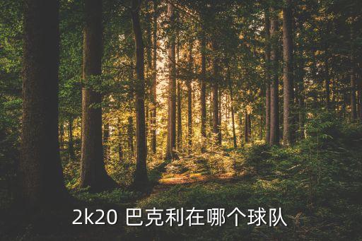 2k20 巴克利在哪個(gè)球隊(duì)