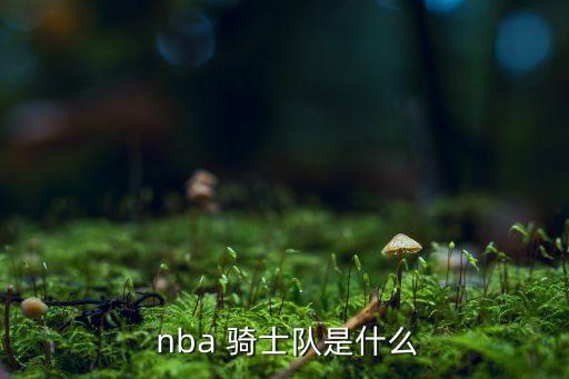 nba騎士隊是哪個城市,nba球隊克利夫蘭騎士team重建