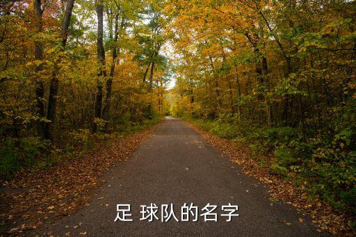 足 球隊(duì)的名字