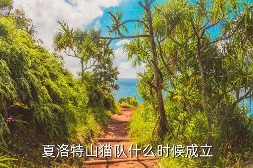  夏洛特山貓隊(duì)什么時(shí)候成立