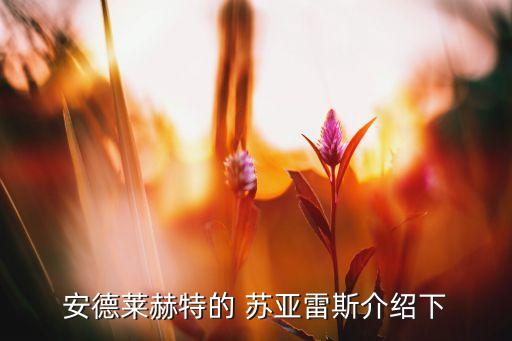 蘇亞雷斯哪個位置,馬里奧-蘇亞雷斯轉(zhuǎn)會佛羅倫薩隊