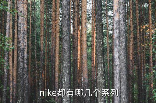  nike都有哪幾個(gè)系列