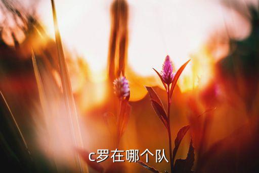 日職008代表哪個隊,c羅轉(zhuǎn)會曼聯(lián)10年后重返曼聯(lián)