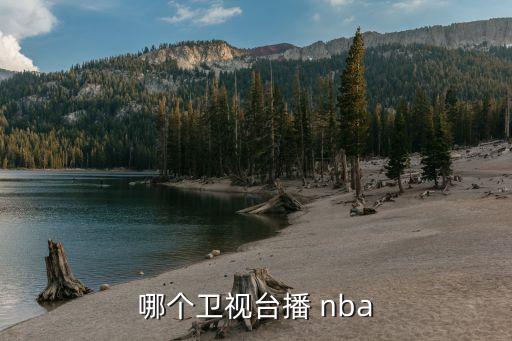 哪個衛(wèi)視臺播 nba