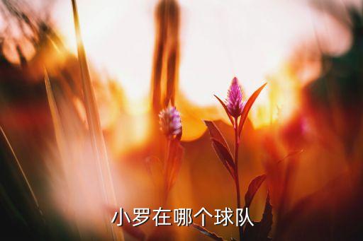 小羅在實(shí)況2016哪個(gè)隊(duì),世界杯無(wú)國(guó)家隊(duì)球員羅納爾多