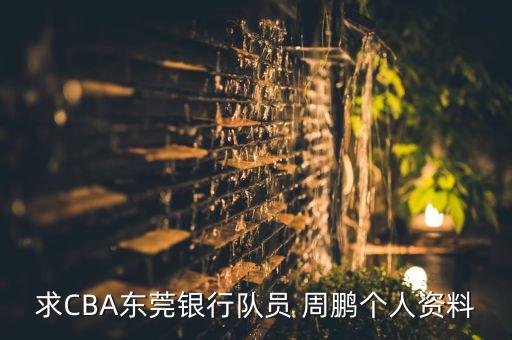 求CBA東莞銀行隊員 周鵬個人資料