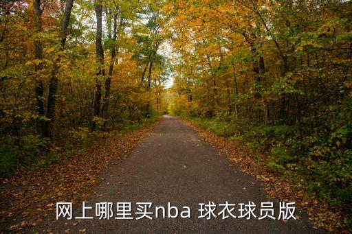 網(wǎng)上哪里買nba 球衣球員版