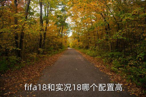  fifa18和實(shí)況18哪個(gè)配置高