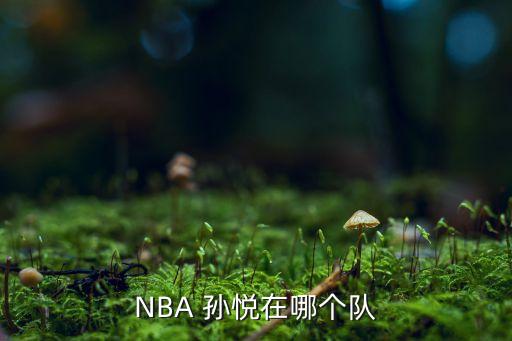 NBA 孫悅在哪個(gè)隊(duì)