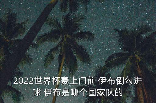 2022世界杯賽上門前 伊布倒勾進(jìn)球 伊布是哪個(gè)國(guó)家隊(duì)的