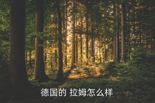 德國(guó)的 拉姆怎么樣