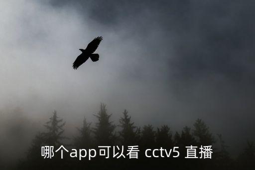 哪個電視直播cctv5,下載央視影音即可觀看五套直播