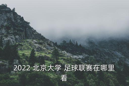 北京足球網(wǎng)站哪個好,北京大學(xué)足球league在國青校園舉行