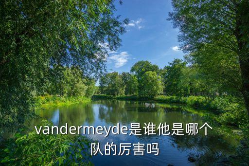 vandermeyde是誰(shuí)他是哪個(gè)隊(duì)的厲害嗎