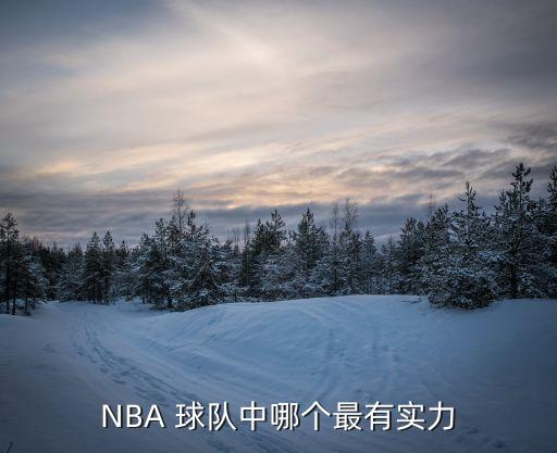 NBA 球隊(duì)中哪個(gè)最有實(shí)力