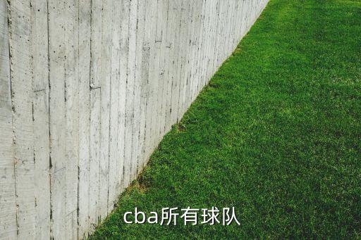  cba所有球隊(duì)