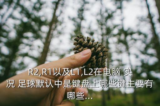 R2,R1以及L1,L2在電腦 實(shí)況 足球默認(rèn)中是鍵盤上哪些鍵主要有哪些...