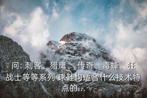 問: 刺客、獵鷹、 傳奇、毒蜂、狂戰(zhàn)士等等系列 球鞋均適合什么技術(shù)特點的...