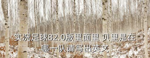 實(shí)況足球82.0版里面里 貝里是在哪一隊(duì)請(qǐng)寫出英文