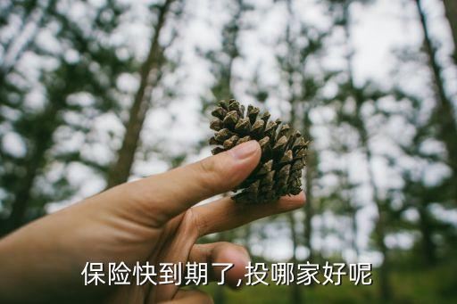 保險(xiǎn)快到期了,投哪家好呢