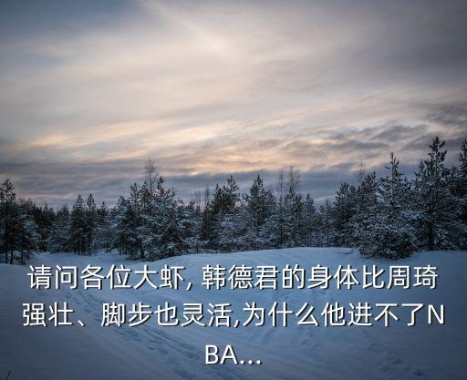 請問各位大蝦, 韓德君的身體比周琦強壯、腳步也靈活,為什么他進不了NBA...