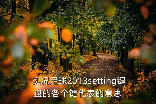  實(shí)況足球2013setting鍵盤的各個(gè)鍵代表的意思