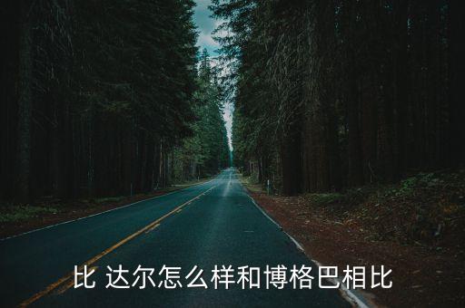 比 達爾怎么樣和博格巴相比