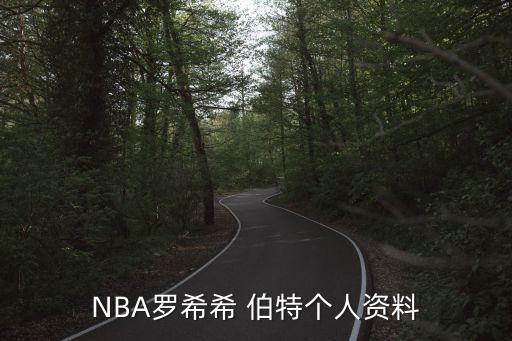 NBA羅希希 伯特個人資料