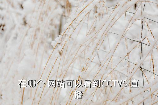 在哪個(gè) 網(wǎng)站可以看到CCTV5 直播