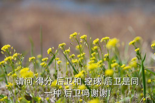 請(qǐng)問(wèn) 得分 后衛(wèi)和 控球 后衛(wèi)是同一種 后衛(wèi)嗎謝謝!