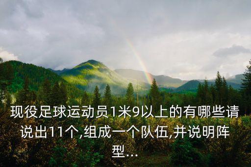 現(xiàn)役足球運動員1米9以上的有哪些請說出11個,組成一個隊伍,并說明陣型...