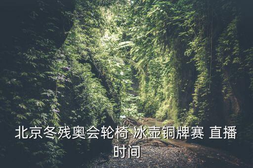 北京冬殘奧會輪椅 冰壺銅牌賽 直播時間