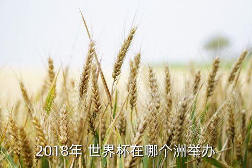 2018世界杯哪個城市,2018俄羅斯世界杯競價如火如荼