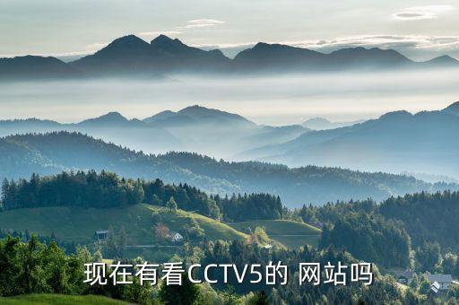 現(xiàn)在有看CCTV5的 網(wǎng)站嗎