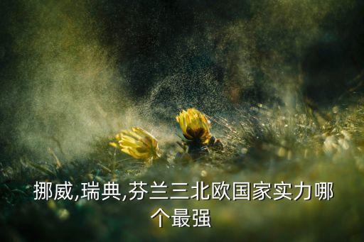  挪威,瑞典,芬蘭三北歐國家實(shí)力哪個最強(qiáng)