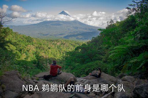 鵜鶘在哪個隊,新奧爾良黃蜂隊以鵜鶘為隊名征戰(zhàn)nba