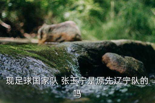 現(xiàn)足球國家隊(duì) 張玉寧是原先遼寧隊(duì)的嗎